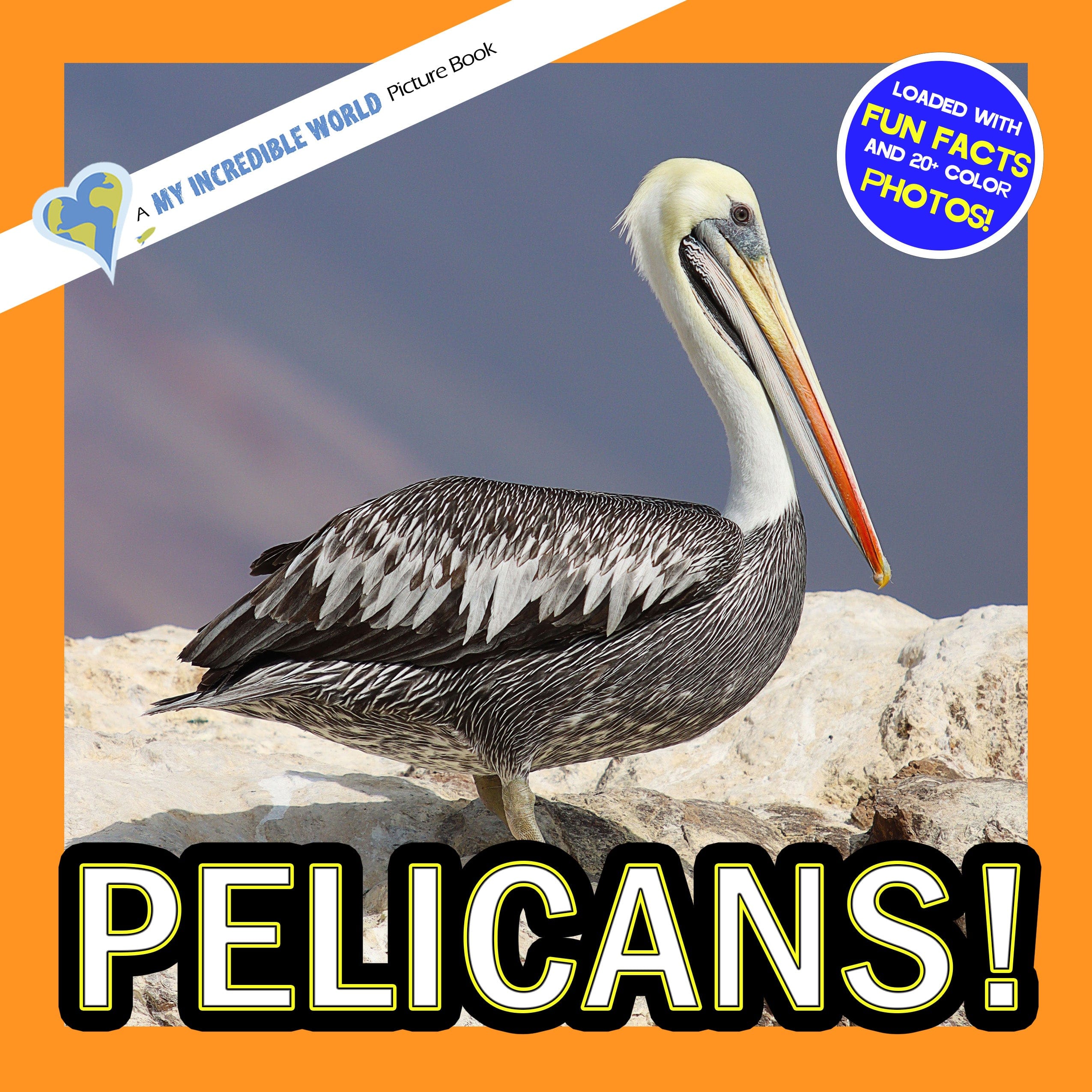 Pelicans! A My Incredible World Picture Book for Children